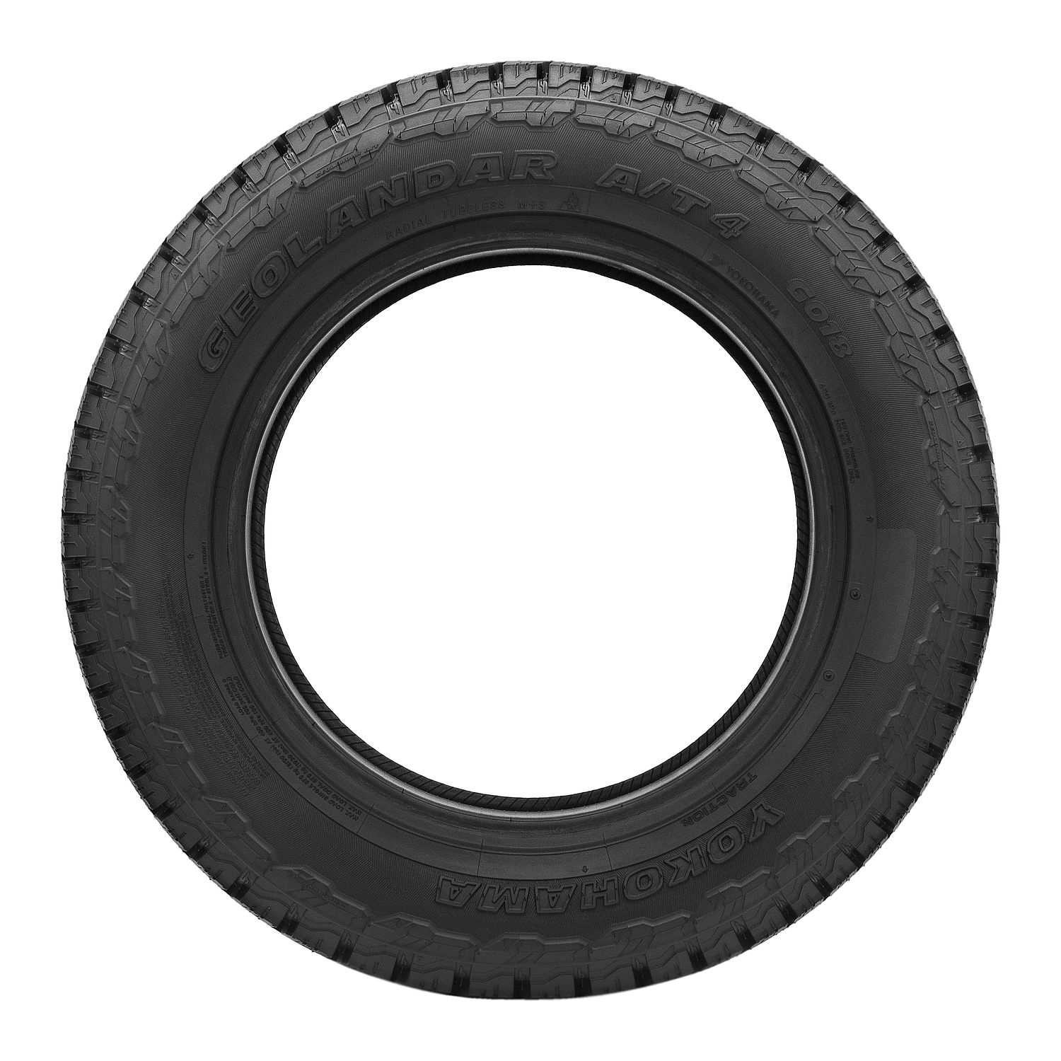 Galeria_Yokohama_Yokohama GEOLANDAR AT4 G018_2